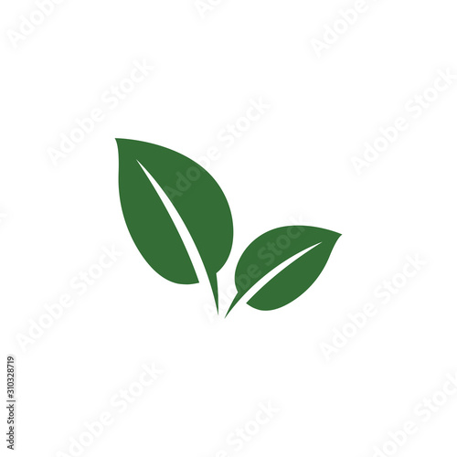 Fototapeta Naklejka Na Ścianę i Meble -  Leaf Mint Logo Template vector symbol