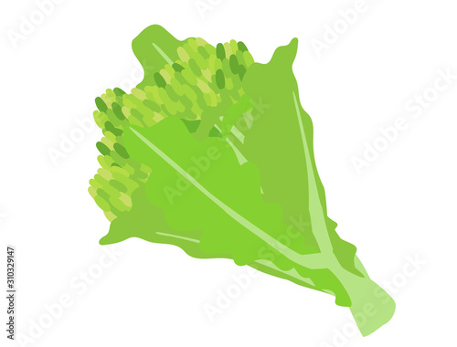 菜の花