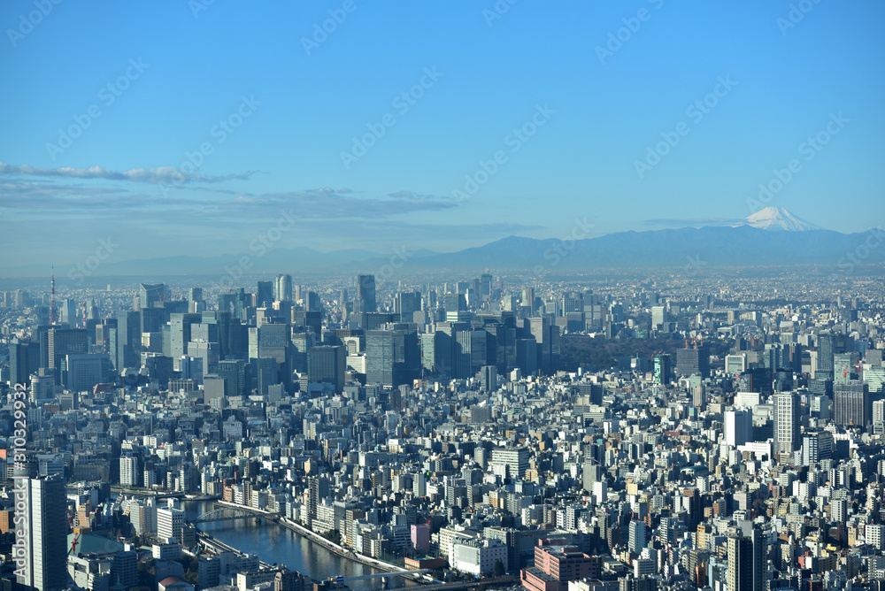 Tokyo, Japan, and Mount Fuji