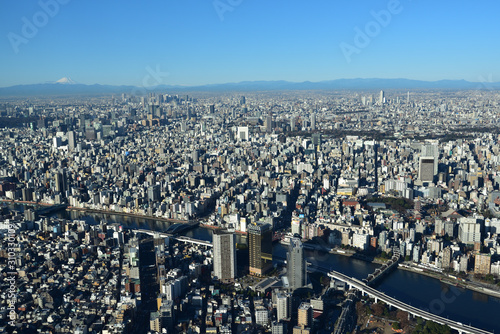 Canvas Print Tokyo, Japan, and Mount Fuji