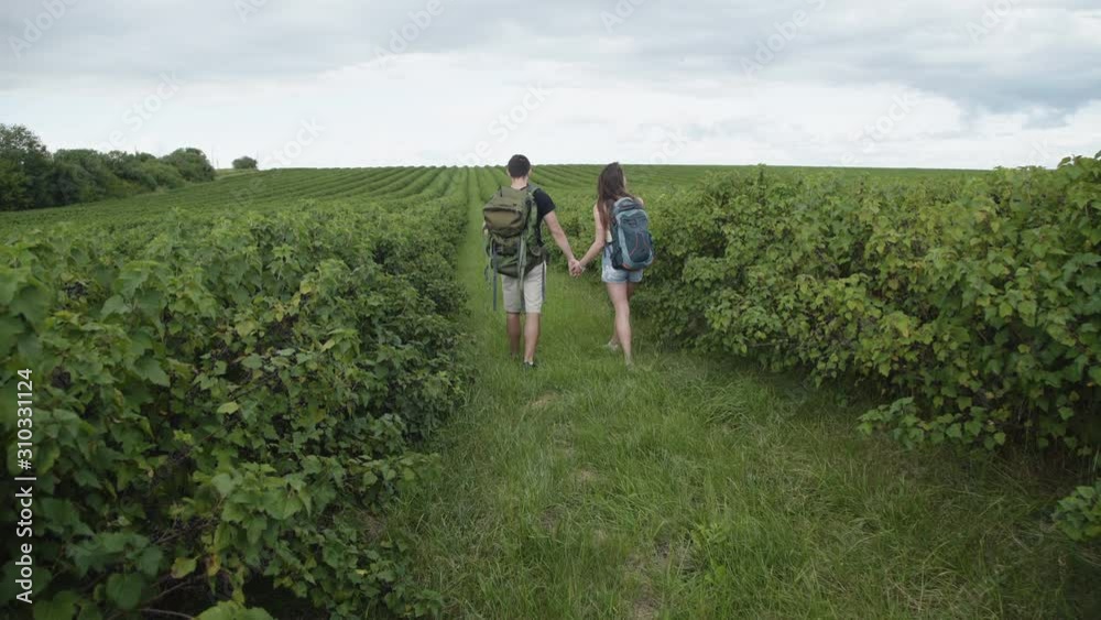 Happy couple of tourists walks with rucksacks and watching on currant plantation Happy couple of tourists walks with rucksacks and watching on currant plantation