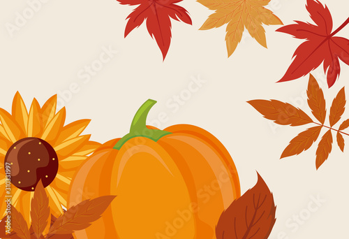 Pumpkin sunflower and leaves of thanksgiving day vector design