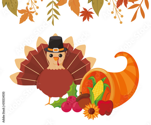Turkey and plenty horn of thanksgiving day vector design