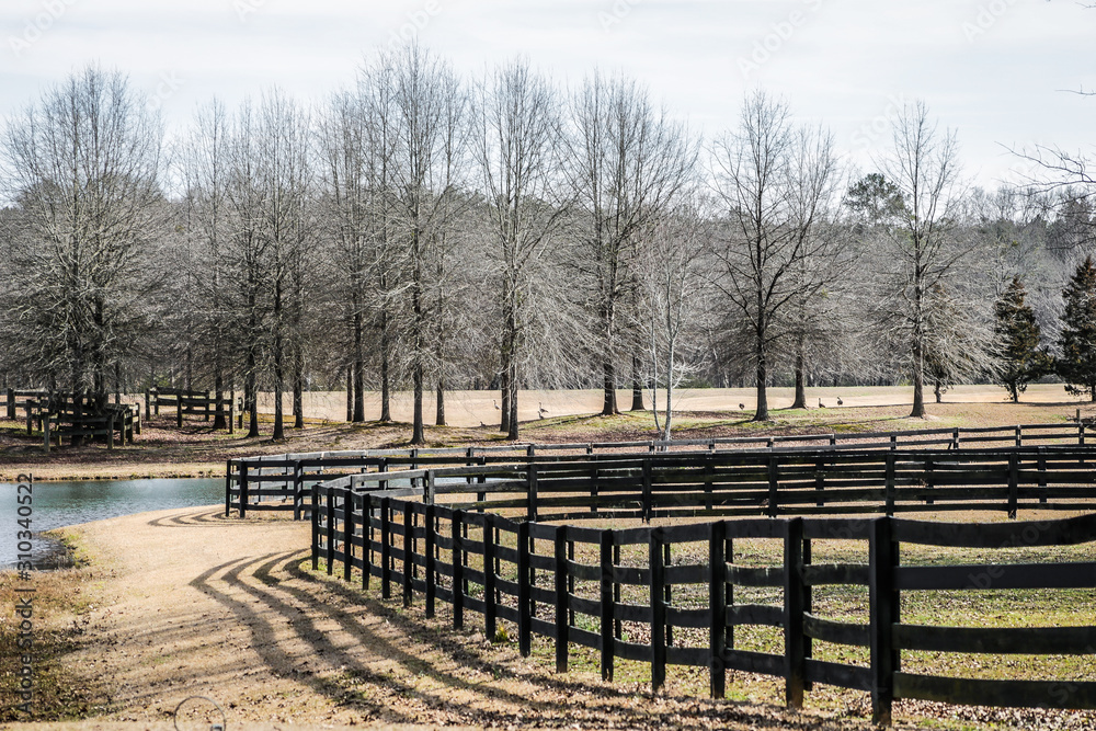 fence fence