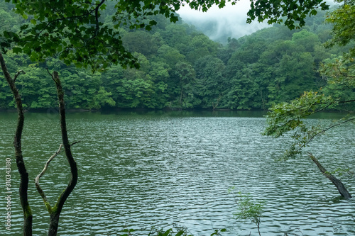 Lake Twelve (Juniko) in Shirakami Sanchi Mountains, Aomori Prefecture photo