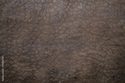 Closeup of rhino hide