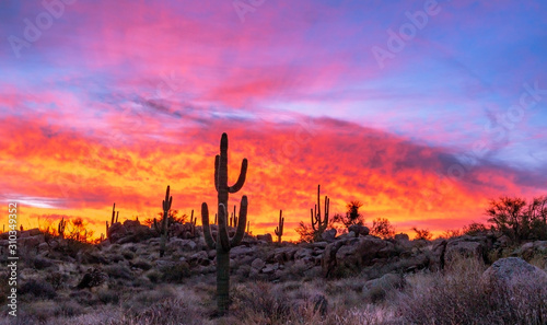 Fiery Arizona Sunrise With Cactus © Ray Redstone