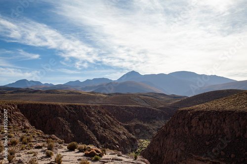 Landscapes of the Atacama Desert  Chile