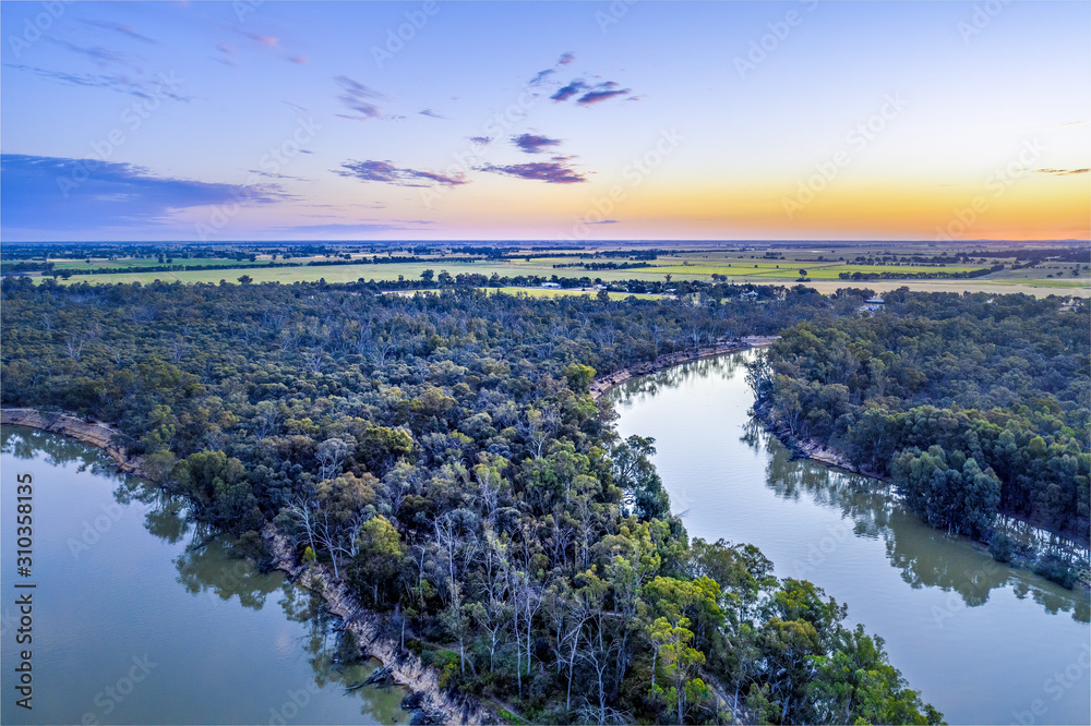 Murray River bends among trees at dusk - aerial landscape