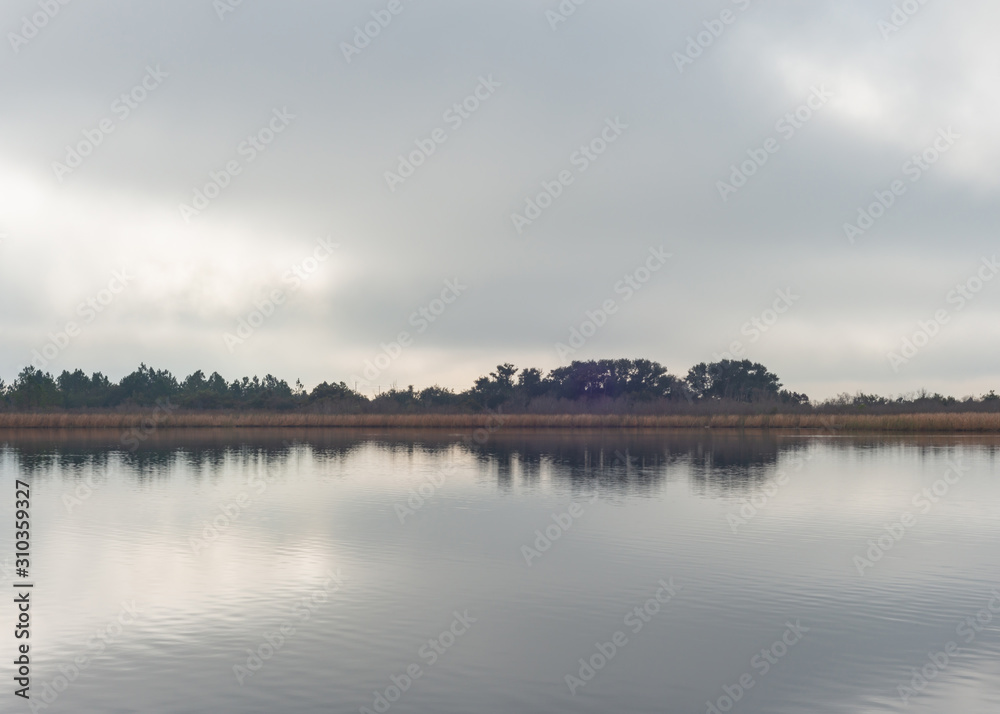 Overcast Shoreline