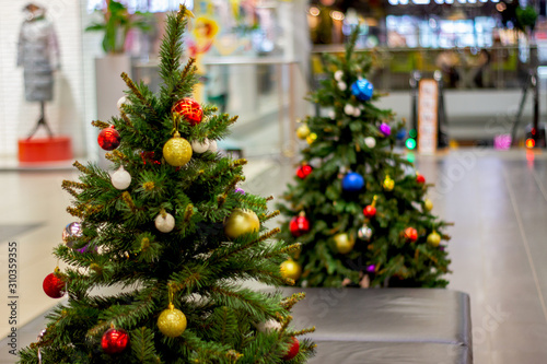 New Year's trees in a store, a shopping center. Decorated christmas tree with blurry background of a second christmas tree. Bright Christmas wallpaper with two elegant conifers, one out of focus. © Svetlana