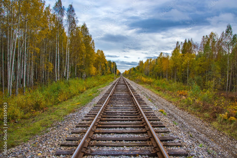 Railway in the autumn forest. Rainy autumn weather. Overcast sky. Railway in the autumn forest. Rainy autumn weather. Overcast sky.