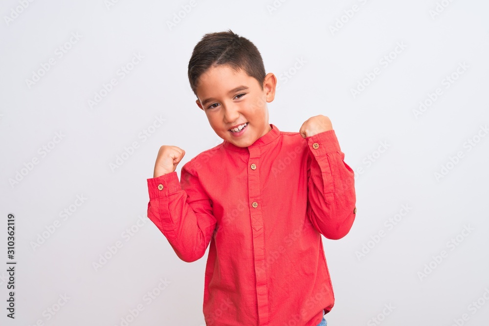 Beautiful kid boy wearing elegant red shirt standing over isolated white background very happy and excited doing winner gesture with arms raised, smiling and screaming for success. Celebration