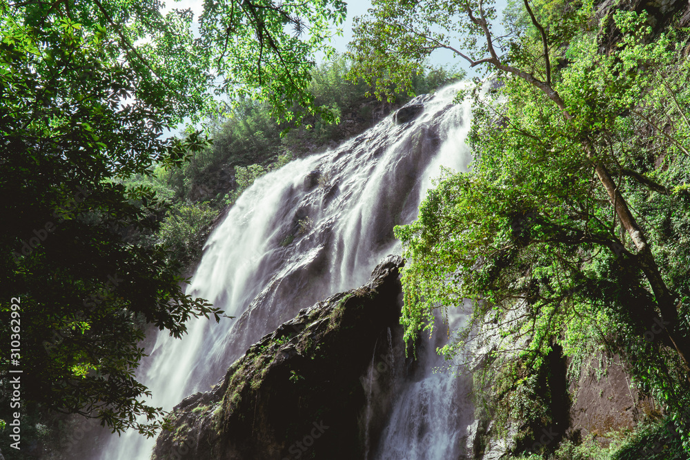 Obraz premium Tropical forest waterfall wall view. Forest waterfall pool. Tropical forest waterfall. Waterfall forest view