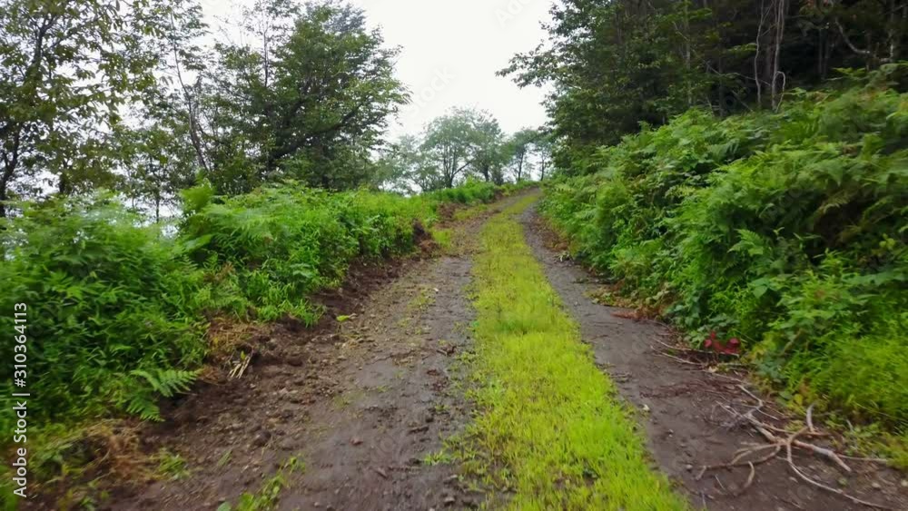 Foggy misty green mountain dirt road, beauty Kackar, Rize, Turkey Foggy misty green mountain dirt road, beauty Kackar, Rize, Turkey