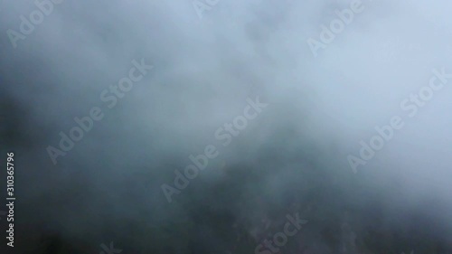 Foggy, rainy and green pine forest of mountain looking dramatic nature photo