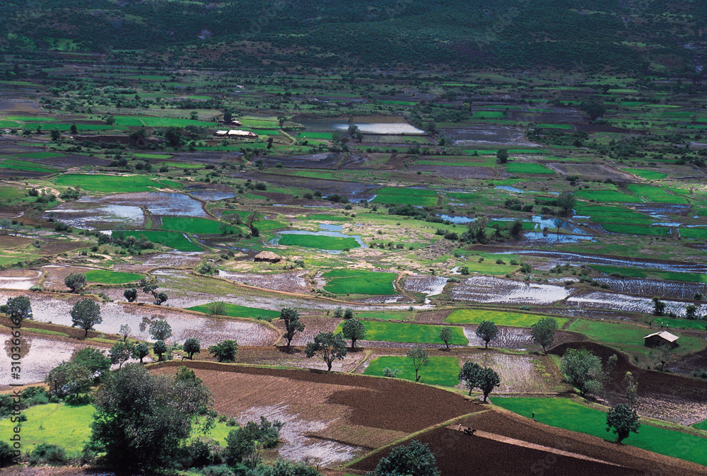 Paddyfields. Monsoon view from Bhaja (Buddhist) Caves, Malavli, Maharashtra, India. Paddyfields. Monsoon view from Bhaja (Buddhist) Caves, Malavli, Maharashtra, India.