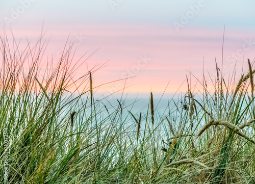 grass and sky