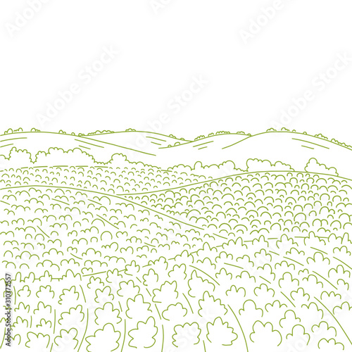 Rural fields landscape. Countryside landscape fields hills. Growing vegetables garden rows. Agriculture farming. Landscape ink vector sketch line drawing. Copy space.