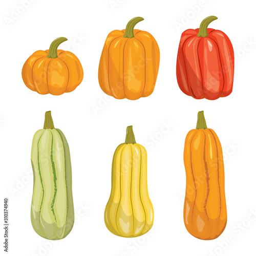 Pumpkin flat icons set. Sign kit of halloween. Thanksgiving pictogram collection farm harvest, closeup squash, vegetable. Simple pumpkin cartoon colorful icon symbol isolated white Vector Illustration