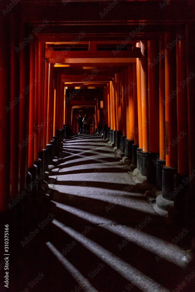 Fototapeta premium Japan, Kyoto, Fushimi Inari