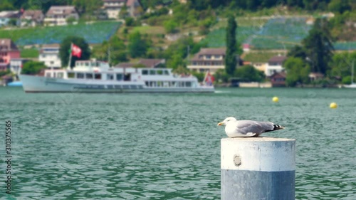 swiss lake view on alps mountain, switzerland