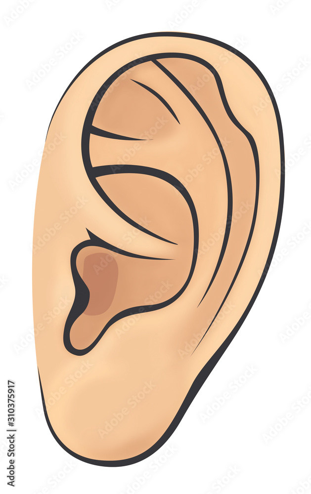 Left ear of man or woman. Illustration with volume elements. Isolated on a white background. Left ear of man or woman. Illustration with volume elements. Isolated on a white background.