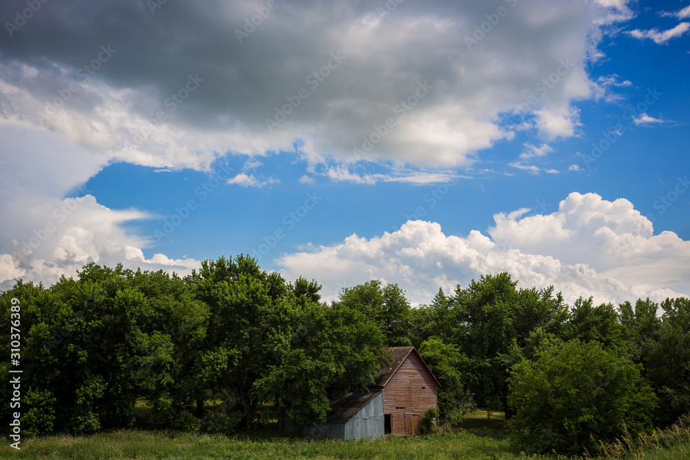 house on the hill