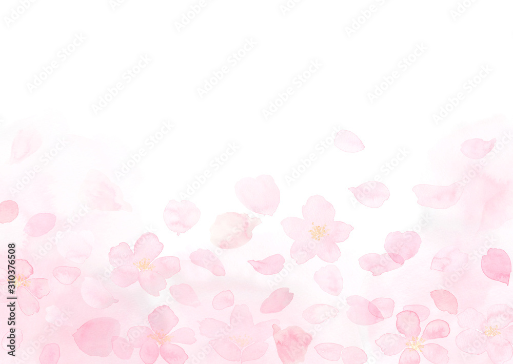 桜と花びら　ふわり　水彩