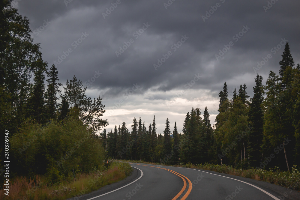 road in the forest