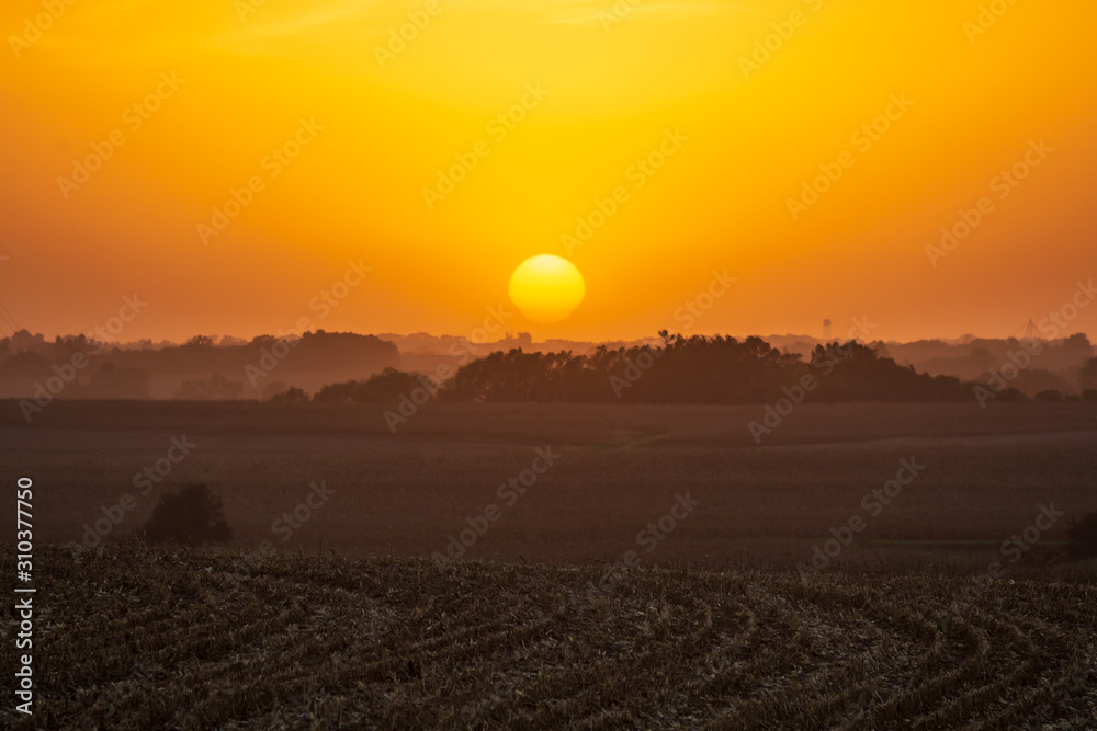 Fototapeta premium sunset over the prairie