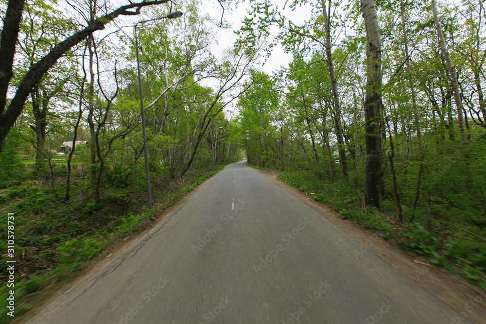 Beautiful country road in the summer. Asphalt or dirt road in the suburbs. Beautiful country road in the summer. Asphalt or dirt road in the suburbs.