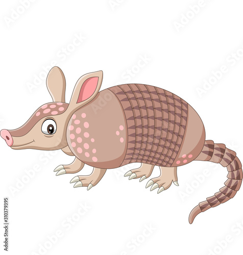 Cartoon armadillo on white background