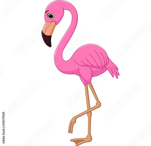 Cartoon flamingo on white background
