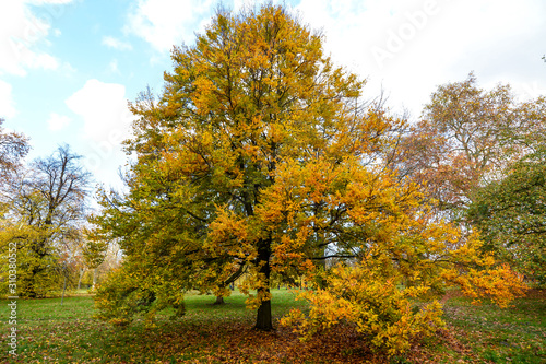 Autumn colors in Hyde Park