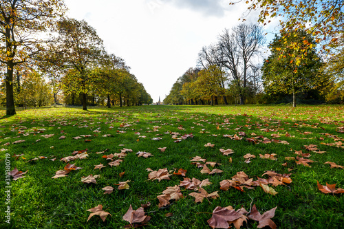 Autumn colors in Hyde Park