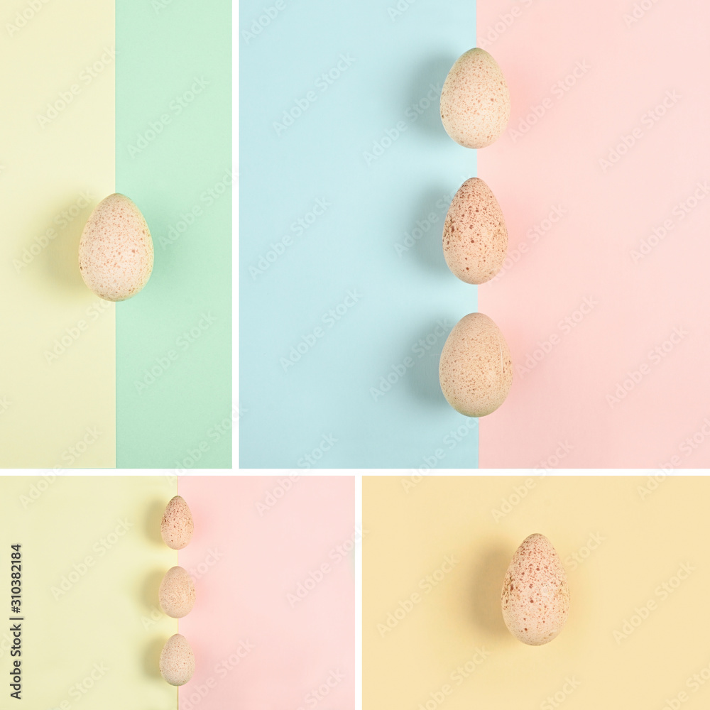 Turkey egg on colored paper background. Food concept in minimal style. Top view. Alternative decoration. Turkey egg on colored paper background. Food concept in minimal style. Top view. Alternative decoration.