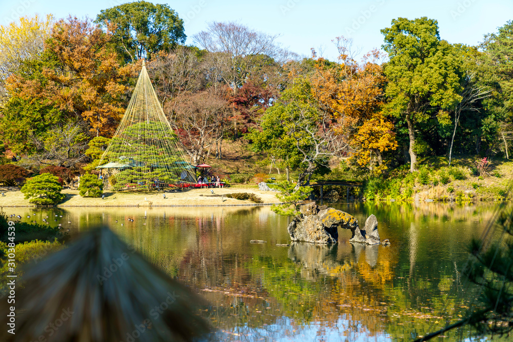 六義園の大泉水