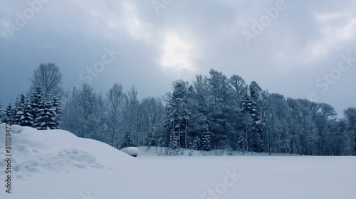 Cold Winter Morning with Pale Sunshine © Alexandra Scotcher