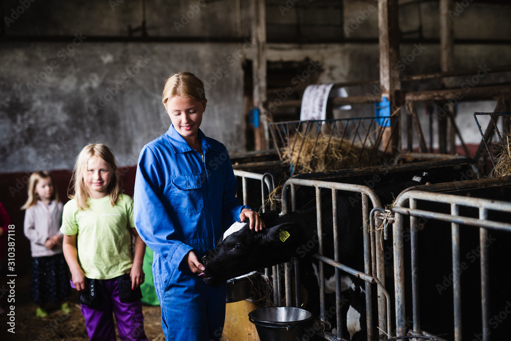 Woman with daughter in cowshed Woman with daughter in cowshed