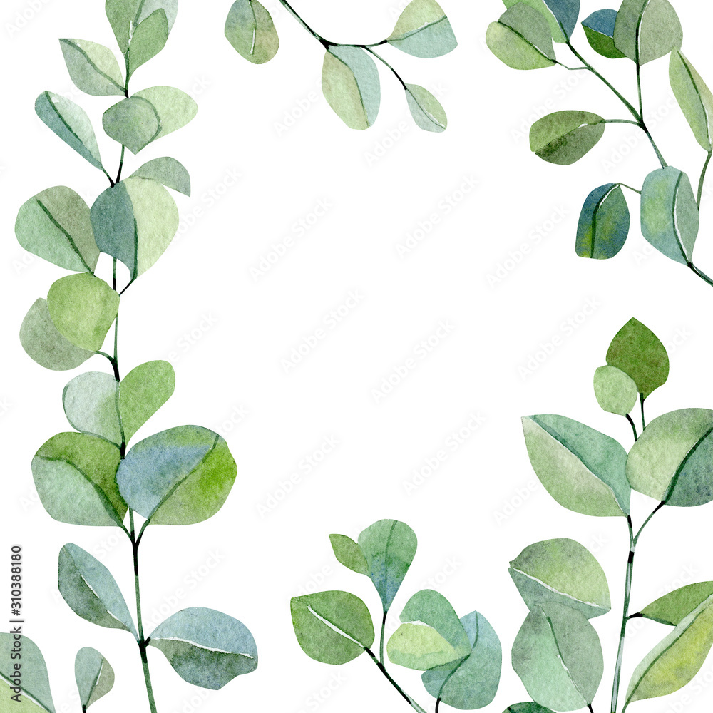 Watercolor frame hand painted silver dollar eucalyptus. Greenery branches and leaves isolated on white background.  Floral illustration for wedding inspiration, poster, greeting card and design banner