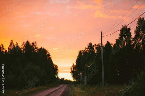 Road in forest photo