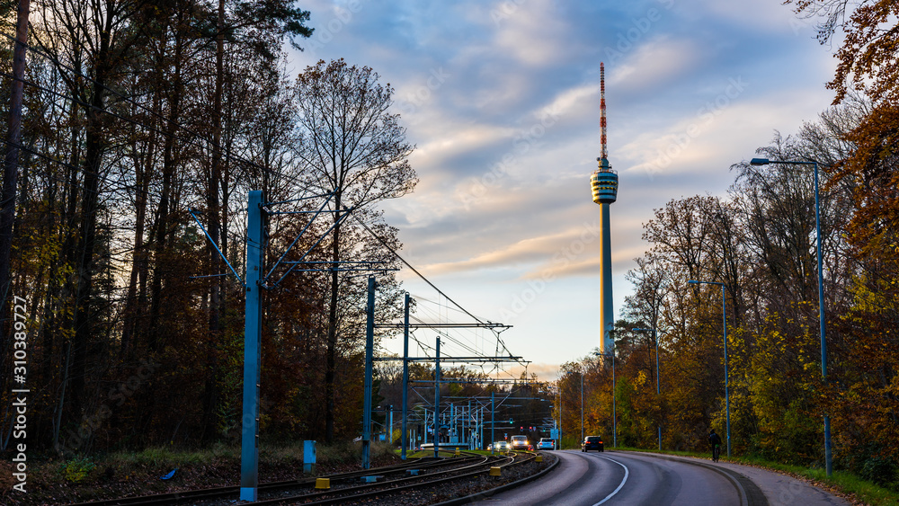 Fototapeta premium Germany, Urban cityscape of stuttgart city with view to famous landmark tv tower behind colorful trees in autumn season with many cars on the road