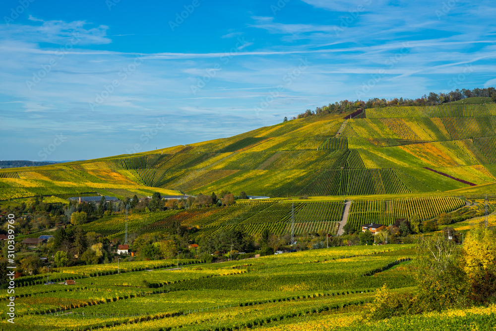 Germany, Colorful vineyards of kappelberg mountain in autumn season with blue sky on sunny day next to fellbach and stuttgart
