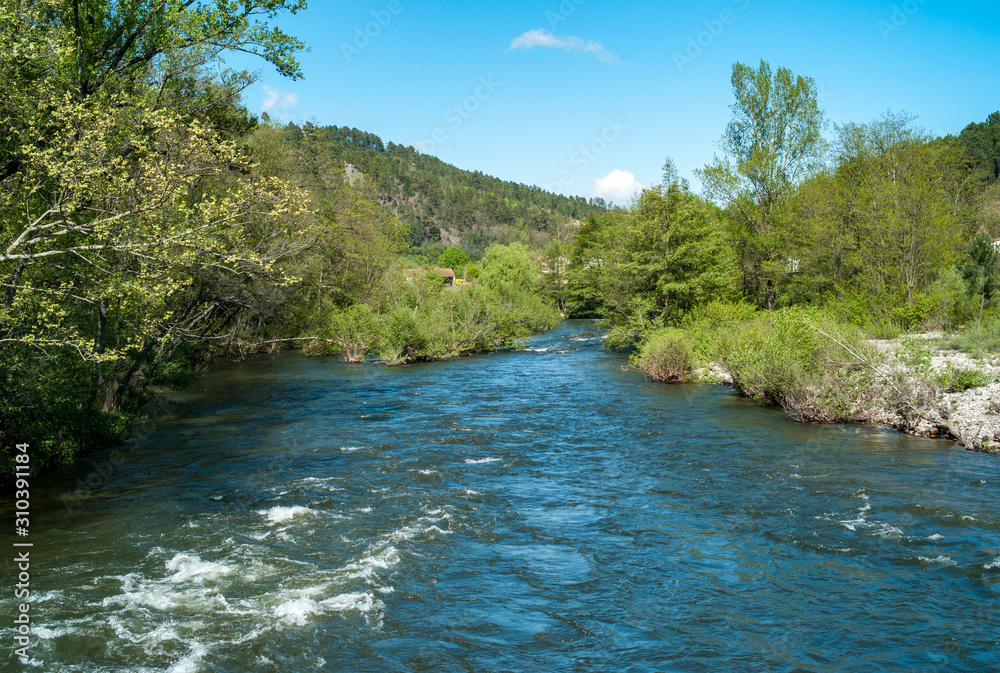 River in the Cevennes River in the Cevennes