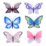 Collection of hand drawn butterflies, isolated on a white background. Colorful set of watercolor insects with motley wings  
