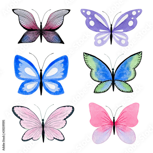 Collection of hand drawn butterflies  isolated on a white background. Colorful set of watercolor insects with motley wings  