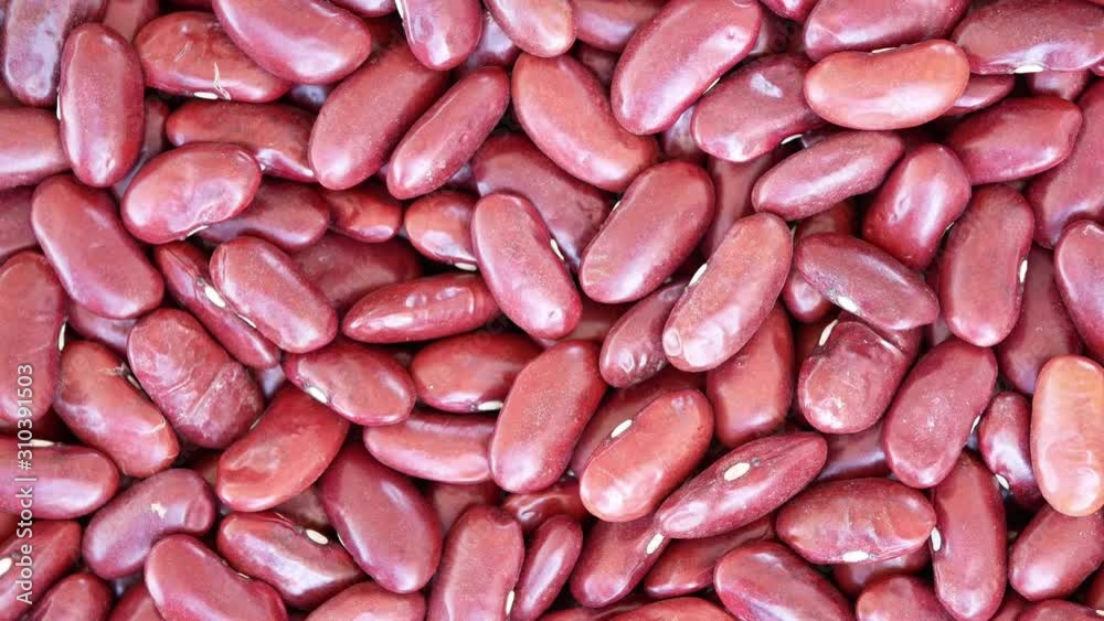 Red kidney bean can be eaten as a protein source or as a main source of protein. Due to high protein content There are also many vitamins and minerals. Red kidney bean can be eaten as a protein source or as a main source of protein. Due to high protein content There are also many vitamins and minerals.