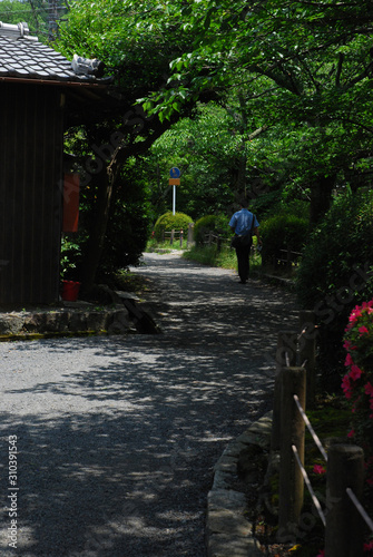 a forest path called 