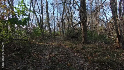 Wallpaper Mural Double Time, from an all terrain vehicle while driving through the woods in on a sunny, fall afternoon Torontodigital.ca